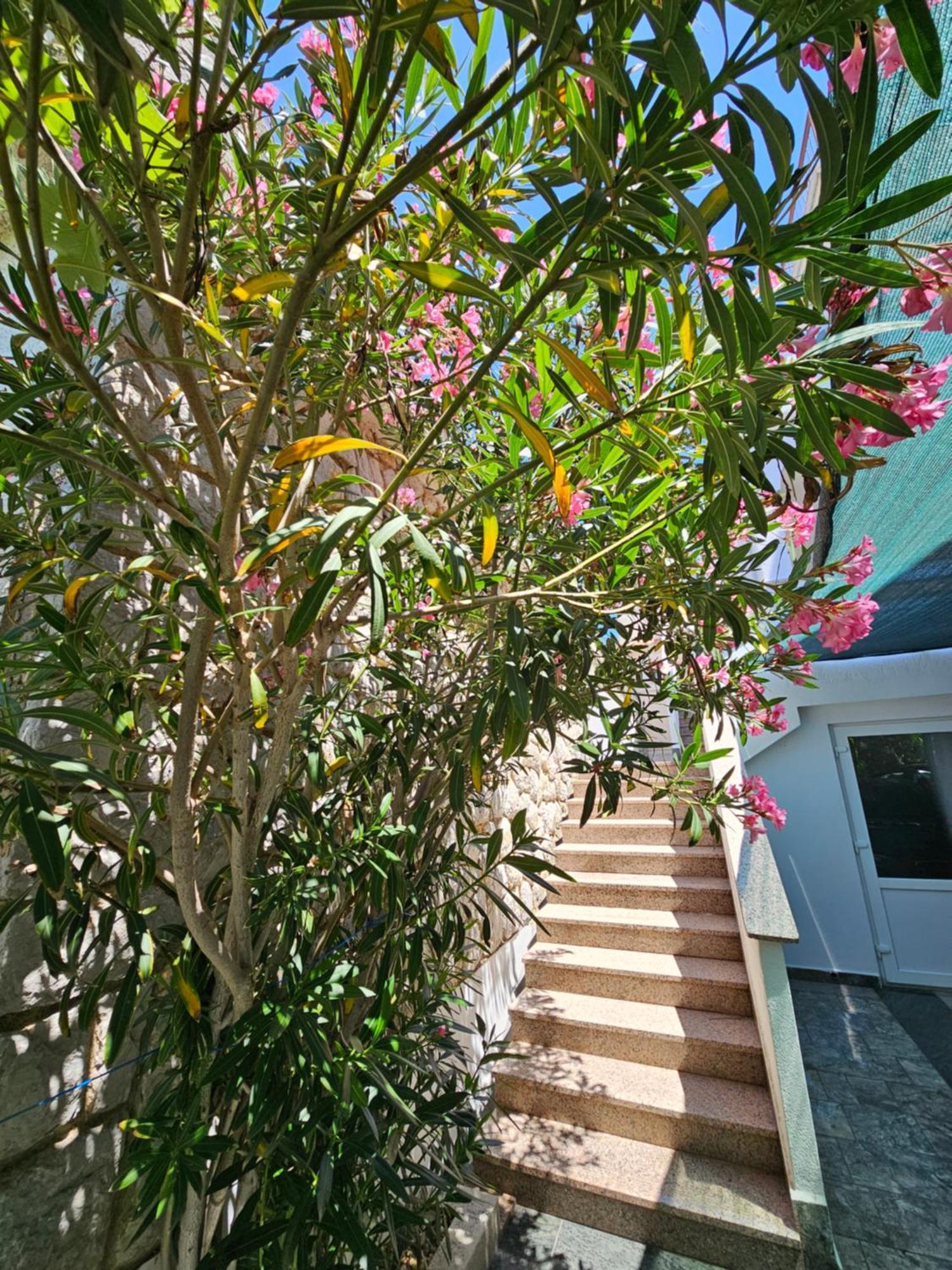 Apartments Bahar Krk Крк Экстерьер фото